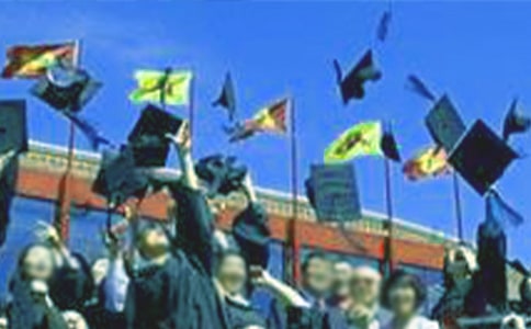 ����Ʒ����ר��ҵ�����ܽ�15ƪ