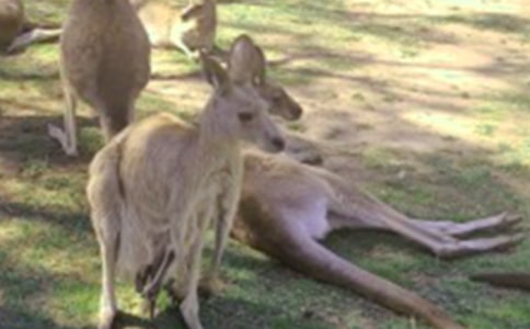 �����������ģ���ѡ30ƪ��