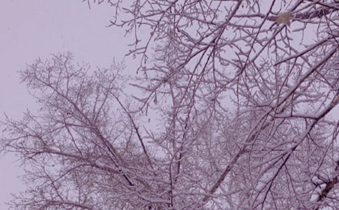 ����ů�����ģ���ѡ27ƪ��