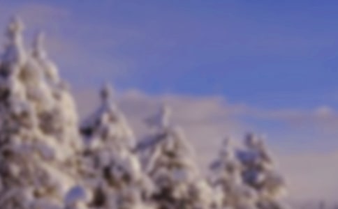 2021�꾭�����ݶ���ľ���ժ¼