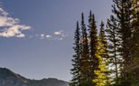 �����ķ羰Сѧ������400�֣���ѡ45ƪ��