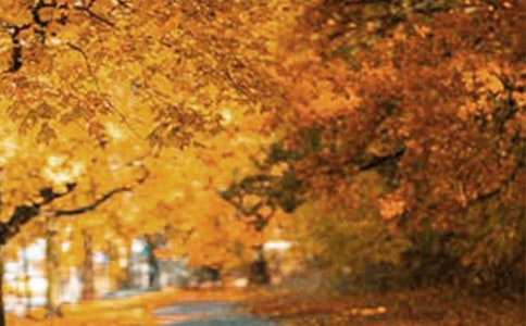 ��Ҳ��һ���羰��Сѧ�����ģ�ͨ��26ƪ��