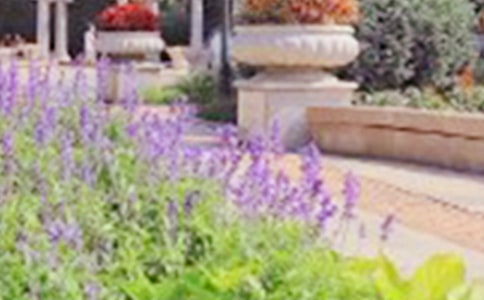 ���ر�����԰����������47ƪ