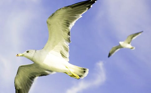 ���ɰɺ�Ÿ���Ľ�ѧ���