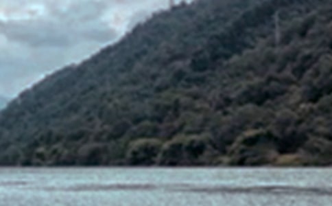 ��ؾ�ɫ��������48ƪ