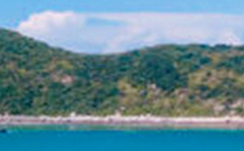 �������ľ�ɫ�������ģ���ѡ16ƪ��