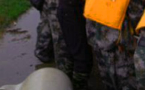 ������ֵĹ����ܽ�