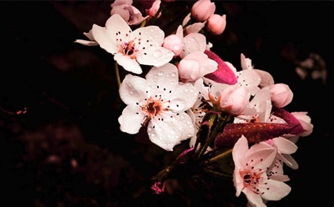 �滨��������