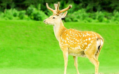 �й�÷��¹���������ģ���ѡ28ƪ��