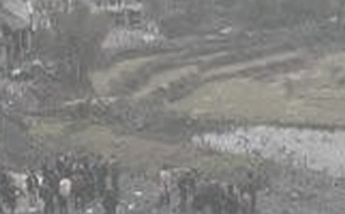 ú����鳤�����ܽᣨ��ѡ11ƪ��