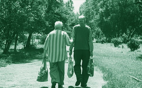 д���̵����ģ���ѡ10ƪ��