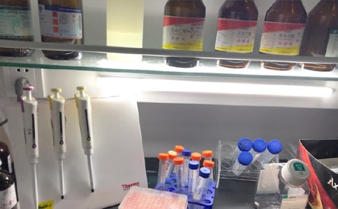 Сѧʵ���ҹ����ܽᣨͨ��12ƪ��