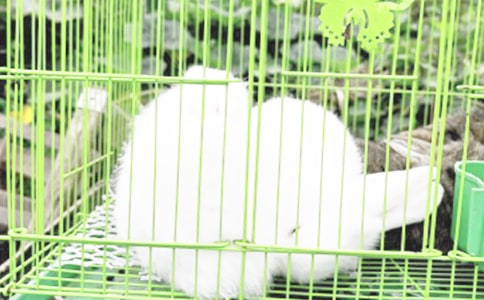 �ҵĶ�������С�������ģ�ͨ��61ƪ��