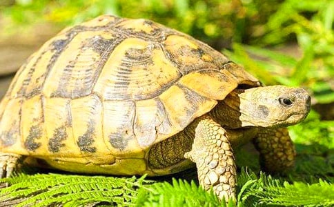 �ҵĶ��������ڹ����ģ�ͨ��29ƪ��