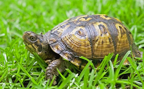 �ҵĶ��������ڹ����ģ�ͨ��3ƪ��