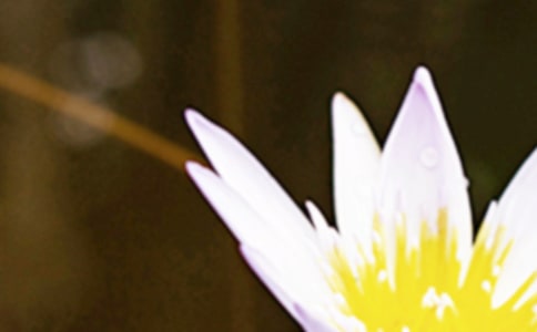 ��д�����ľ�����ӣ���ѡ180�䣩