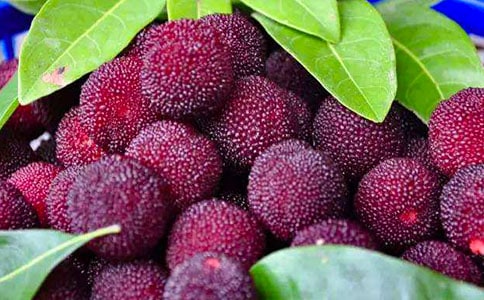 ��÷�������ģ�ͨ��53ƪ��