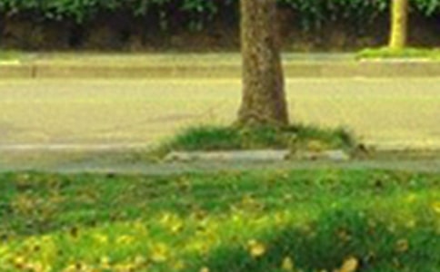 2025�꾭��ÿ��һǩ�簲������¼270��