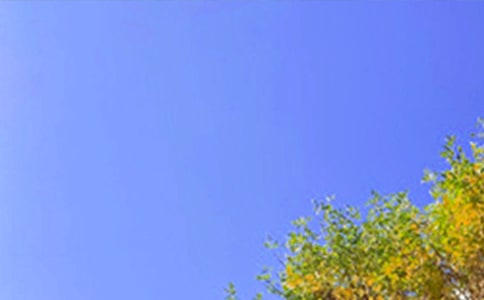 �������õ��簲ף������¼����ѡ155�䣩