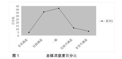 ��У��������ʦ��ʵʩ״�������о�