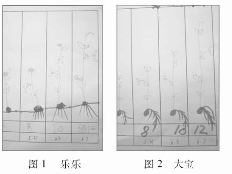 ͼ���ڿ�ѧ�۲조��ֲ�㶹����е�˼��