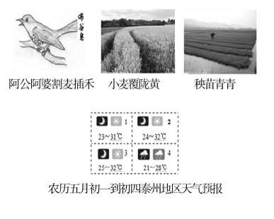 ����֪ά�������и߿���������