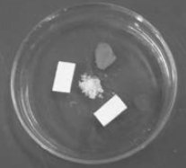 ������ĥ�Ρ������Ŷӳɾ�ѧ��