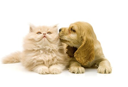 开元体育手机app下载安装最新版本更新内容