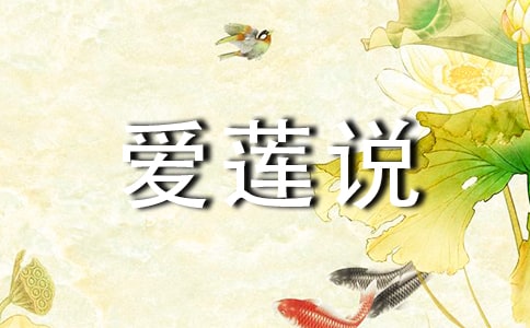 ����˵����(��)