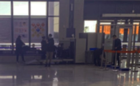 ������˹����ܽ�10ƪ