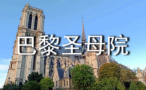 ������ʥĸԺ���ۺ��