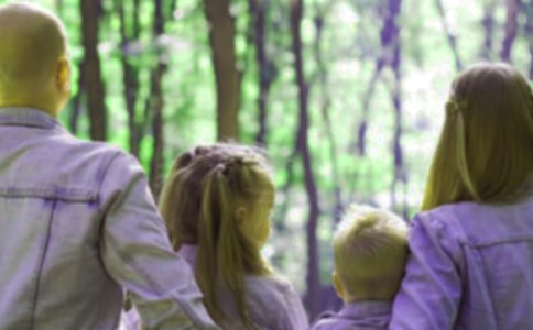 ����������Ϊ���������