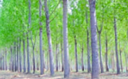 ���������ޡ���ѧ˼·���