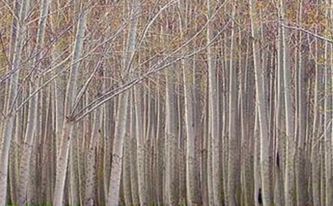 �������ѧ����