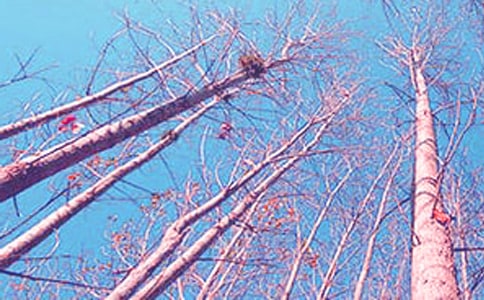 �����������Ľ̰�