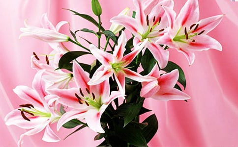 �۲�ٺϻ��������ģ���ѡ3ƪ��