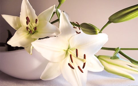 �ٺϻ��Ĺ۲��ռ�