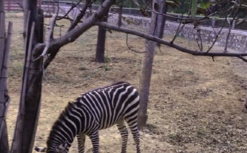 ������������