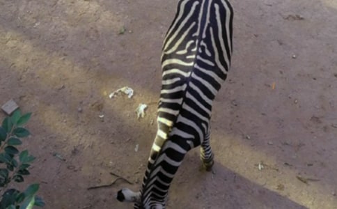 ����������������̰�[��Ʒ6ƪ]