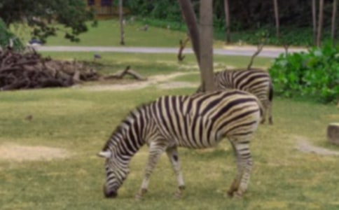 ���ð����߳�����