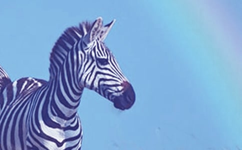 ����������������̰�����6ƪ