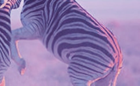 �������ð��������� 