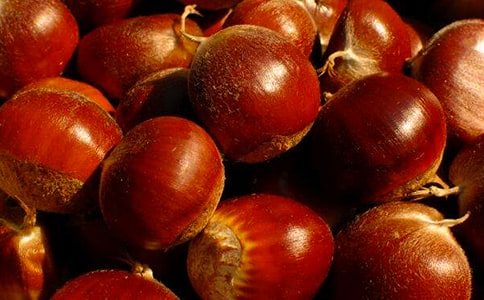 ������������20ƪ