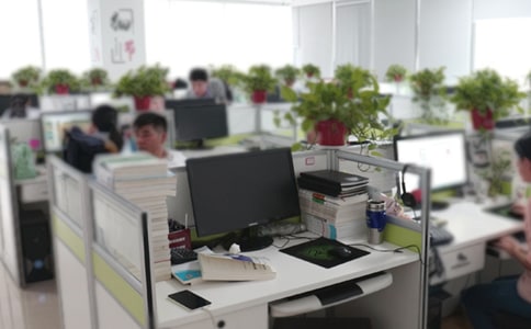 �칫�Ҵ��������Բ鱨��