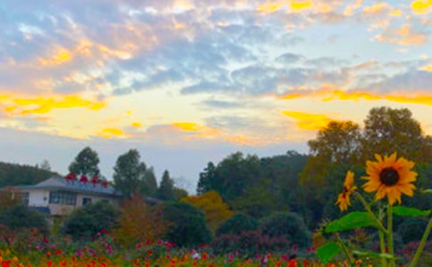 ����İ���