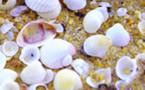 �����ǿ�ȸ���а������̰�