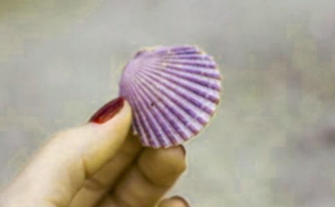 ʰ��������