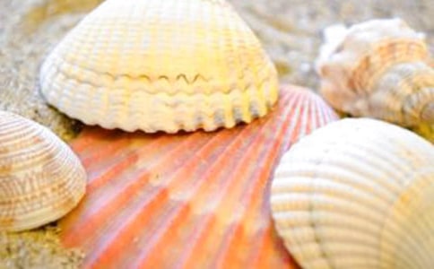 ʵ�õı���������ƪ