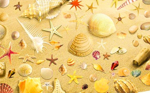 ����Сѧ����