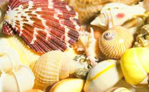 д���ǵ�����